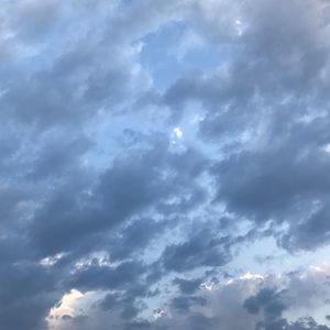 Meet your Posher, Delilah